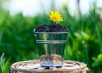 Similar image 2935053