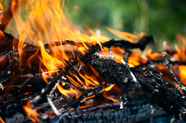 Similar image 2935055