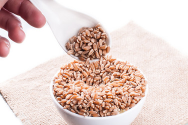 Similar image 2935058