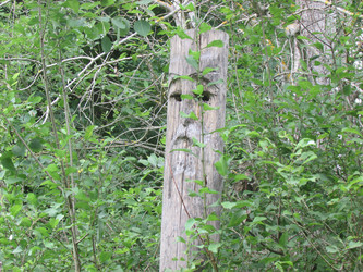 Similar image 2935220