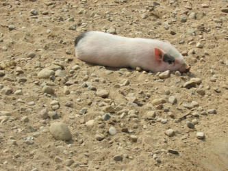 Similar image 2935237