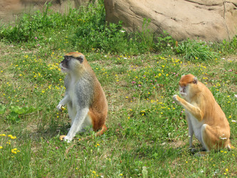 Similar image 2935238