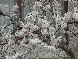 Similar image 2935241