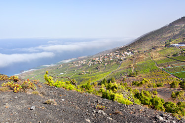 Similar image 2935244