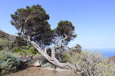 Similar image 2935247