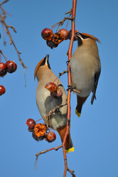 Similar image 2935578