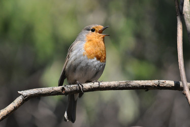 Similar image 2935580