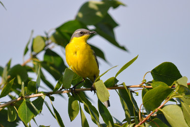 Similar image 2935584