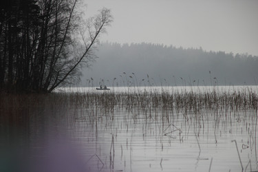 Similar image 2935586