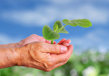 Similar image 2935652