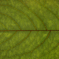 Similar image 2935653