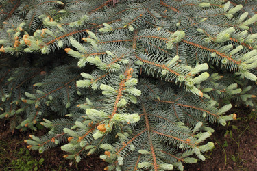 Similar image 2935694