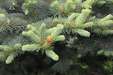 Similar image 2935695