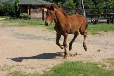 Similar image 2935699