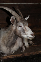 Similar image 2935707