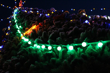 Similar image 2935719