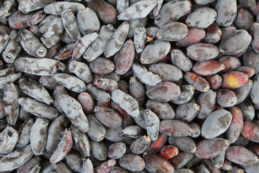 Similar image 2935721