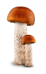 Similar image 2935895