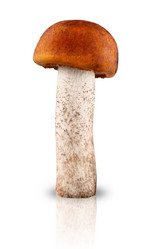 Similar image 2935896