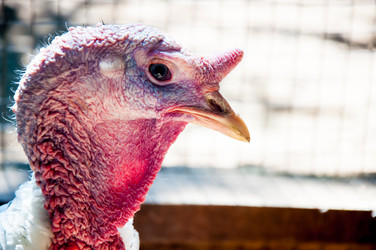 Similar image 2936803