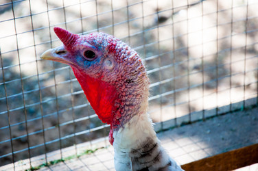 Similar image 2936804