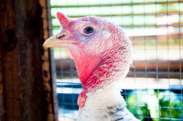 Similar image 2936805