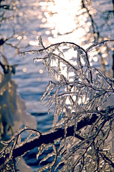 Similar image 2937003