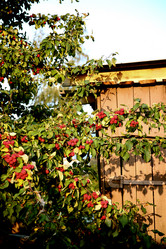 Similar image 2937008