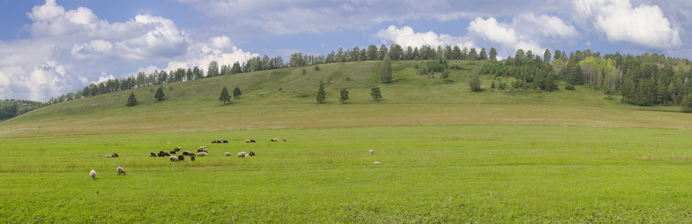 Similar image 2937012