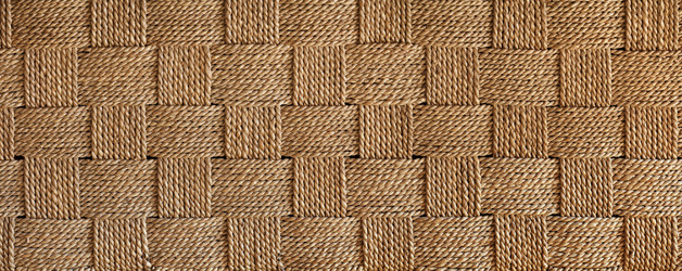 Similar image 2937209