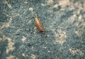 Similar image 2937219