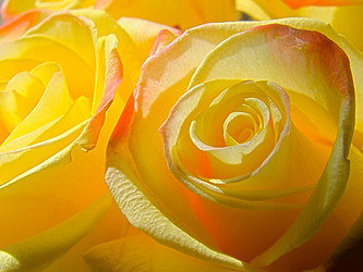 Similar image 2937254