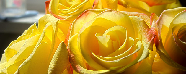 Similar image 2937263