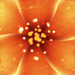 Similar image 2937294