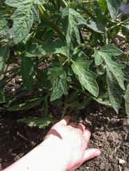 Similar image 2937310