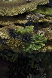 Similar image 2937329
