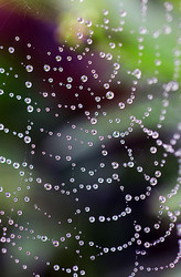 Similar image 2937340