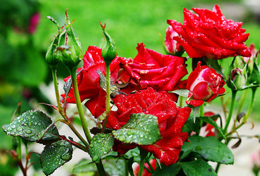 Similar image 2937341