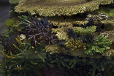 Similar image 2937349