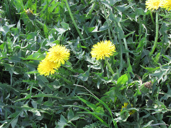 Similar image 2937363