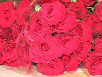 Similar image 2937364