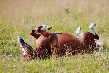 Similar image 2937369