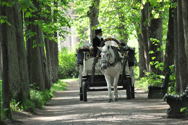 Similar image 2937399