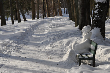 Similar image 2937400