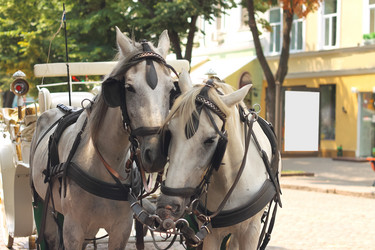 Similar image 2937438