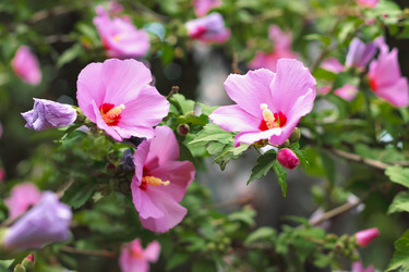 Similar image 2937446