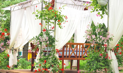 Similar image 2937449