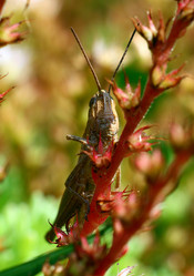 Similar image 2937465