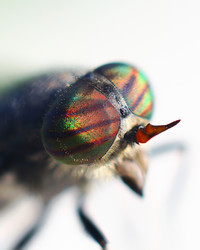 Similar image 2937466