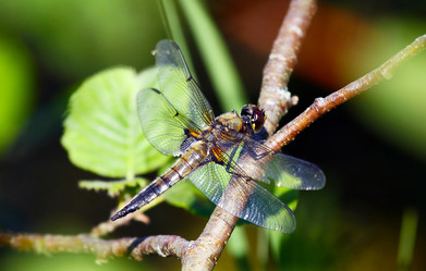 Similar image 2937467